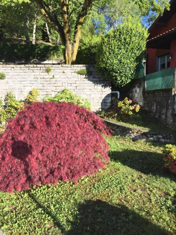 Villa Assunta Premeno Exterior foto